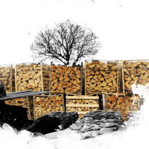Palivové dřevo v paletách